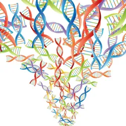 DNA molecules in red, blue, green, and purple are shown, representing multiple genetic variants.