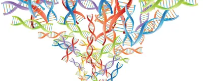 DNA molecules in red, blue, green, and purple are shown, representing multiple genetic variants. DNA molecules in red, blue, green, and purple are shown, representing multiple genetic variants.