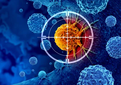 Illustration showing focus on one orange-colored cell with some blue cells. Representative of cancer immunotherapy.