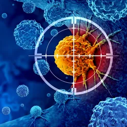 Illustration showing focus on one orange-colored cell with some blue cells. Representative of cancer immunotherapy.