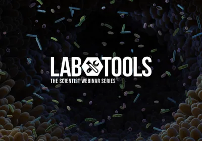 Tracking Early Gut Development One Metabolite at a Time Tracking Early Gut Development One Metabolite at a Time