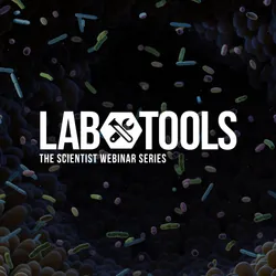 Tracking Early Gut Development One Metabolite at a Time