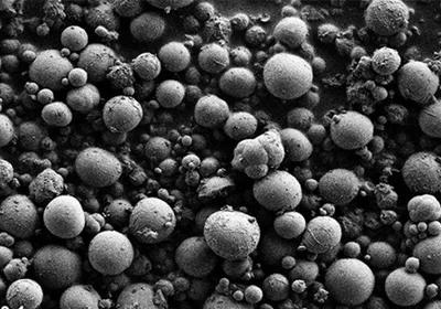 Black-and-white microscopy image of microspheres in snake’s solid “pee”, also known as urates. Black-and-white microscopy image of microspheres in snake’s solid “pee”, also known as urates.