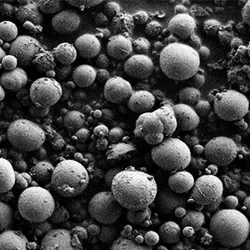 Black-and-white microscopy image of microspheres in snake’s solid “pee”, also known as urates.