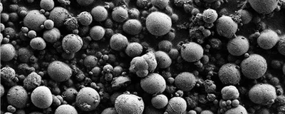 Black-and-white microscopy image of microspheres in snake’s solid “pee”, also known as urates. Black-and-white microscopy image of microspheres in snake’s solid “pee”, also known as urates.