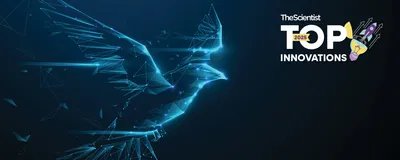 Futuristic image of a fast-flying bird, representing the rapid insights captured by Ramona’s Vireo platform.