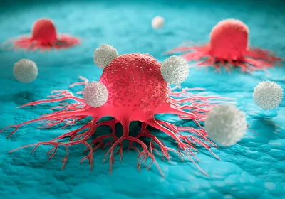 Image of pink cancer cells attacked by white blood cells. Image of pink cancer cells attacked by white blood cells.