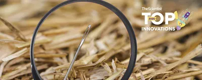 A magnifying glass focusing on a single needle in a haystack.