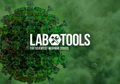 Hunt Down Letivirus Titer and Structure with Leprechaun Hunt Down Letivirus Titer and Structure with Leprechaun