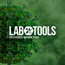 Hunt Down Letivirus Titer and Structure with Leprechaun