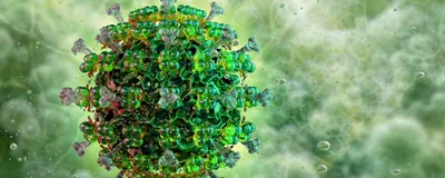 Hunt Down Letivirus Titer and Structure with Leprechaun Hunt Down Letivirus Titer and Structure with Leprechaun