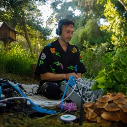 Image of Tarun Nayar sitting on the ground with a modular synthesizer in his lab. There are mushrooms in the foreground.
