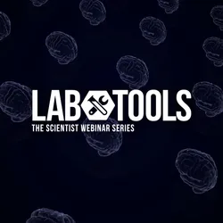 Exploring Organoids for Neurological Disease Modeling