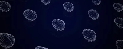 Exploring Organoids for Neurological Disease Modeling Exploring Organoids for Neurological Disease Modeling