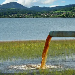 Brightly colored water, representing chemical waste contamination by PFAS, drains into a natural body of water. 