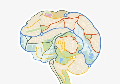 A drawing of a brain with roads and maps drawn on different sections to represent memory of location information, which is controlled by place cells in the hippocampus. A drawing of a brain with roads and maps drawn on different sections to represent memory of location information, which is controlled by place cells in the hippocampus.