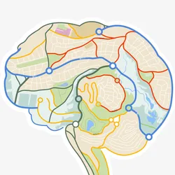 A drawing of a brain with roads and maps drawn on different sections to represent memory of location information, which is controlled by place cells in the hippocampus.