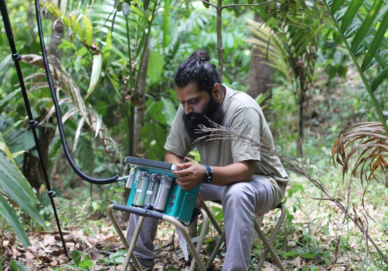 Trees Release Carbon Dioxide to Tolerate Rising Temperatures