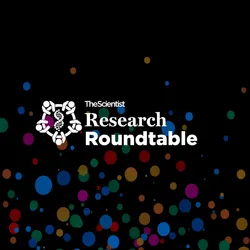 Research Roundtable: The Evolving World of Spatial Biology Research Roundtable: The Evolving World of Spatial Biology