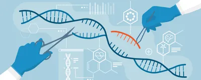 Conceptual cartoon image of gene editing technology Conceptual cartoon image of gene editing technology