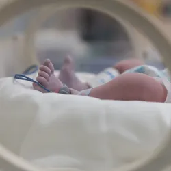 Image of an infant’s feet that are visible in a hospital incubator. Image of an infant’s feet that are visible in a hospital incubator.