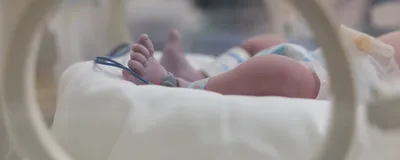 Image of an infant’s feet that are visible in a hospital incubator. Image of an infant’s feet that are visible in a hospital incubator.