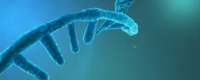 Long-Read RNA Sequencing Reveals a Regulatory Role for Splicing in Immunotherapy Responses Long-Read RNA Sequencing Reveals a Regulatory Role for Splicing in Immunotherapy Responses