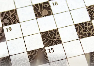 Dec Digest crossword puzzle image