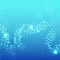 A twisted DNA double helix on a blue background A twisted DNA double helix on a blue background