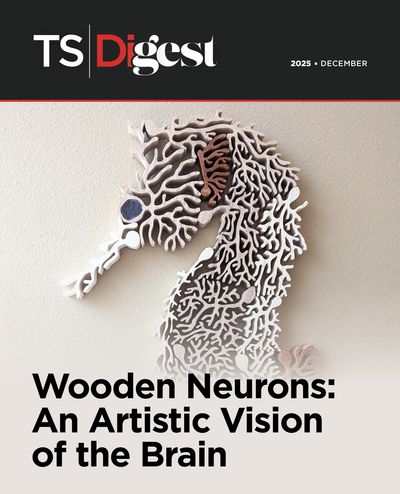 December digest cover image of a wooden sculpture comprised of multiple wooden neurons that form a seahorse.