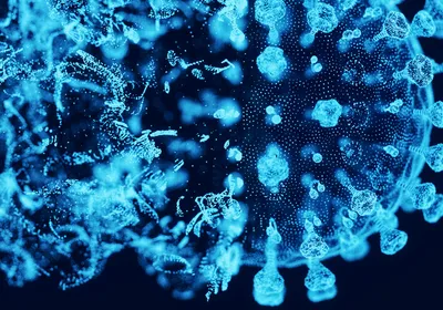 An enveloped virus forms. 