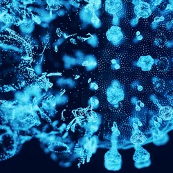 An enveloped virus forms. 