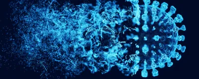 An enveloped virus forms. 