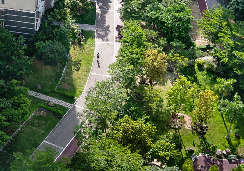 Green Spaces May Mitigate Pollution-Linked Breast Cancer Risk – the-scientist.com