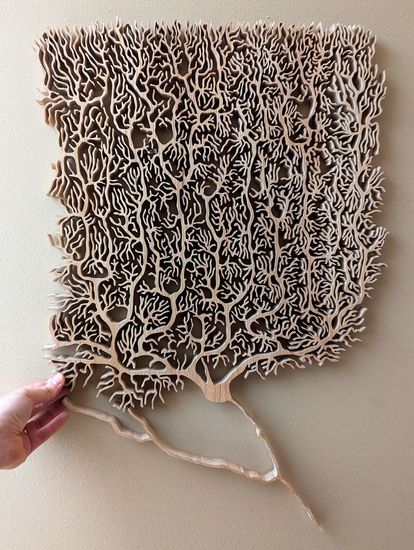 Image of a wooden sculpture of a Purkinje cell.