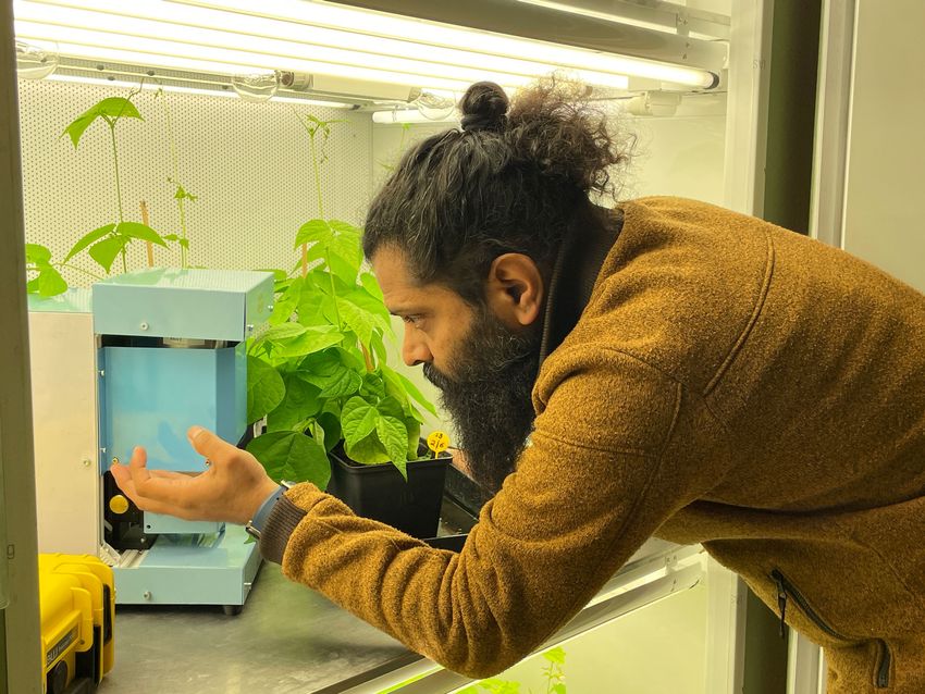 Photograph of Rakesh Tiwari using an instrument to measure plant growth in a biosafety cabinet. Tiwari is wearing a brown fleece and has dark hair and a beard. A green sapling is in a planter behind him in the cabinet. Photograph of Rakesh Tiwari using an instrument to measure plant growth in a biosafety cabinet. Tiwari is wearing a brown fleece and has dark hair and a beard. A green sapling is in a planter behind him in the cabinet.
