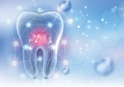 An abstract illustration of a tooth on a bluish background, signifying teeth that are a source of multipotent dental stem cells that can have therapeutic applications in dental diseases and beyond.