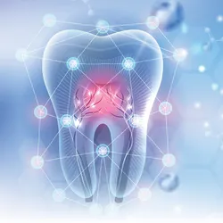 An abstract illustration of a tooth on a bluish background, signifying teeth that are a source of multipotent dental stem cells that can have therapeutic applications in dental diseases and beyond.