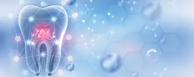 An abstract illustration of a tooth on a bluish background, signifying teeth that are a source of multipotent dental stem cells that can have therapeutic applications in dental diseases and beyond.