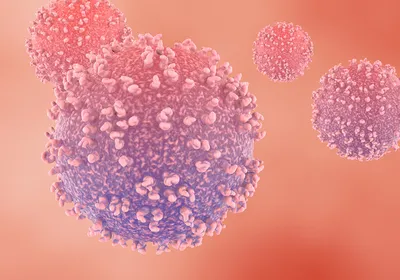 Image of lymphocytes against a pink-ish background. Image of lymphocytes against a pink-ish background.