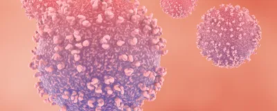 Image of lymphocytes against a pink-ish background.