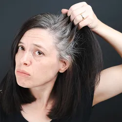 A woman pulls on her dark hair, showing graying roots. She looks frustrated, representing how stress can cause hair to go gray prematurely. A woman pulls on her dark hair, showing graying roots. She looks frustrated, representing how stress can cause hair to go gray prematurely.