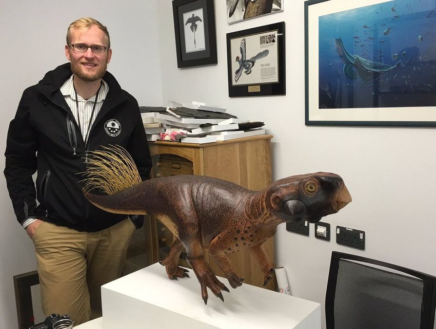 Jakob Vinther poses in a room with framed images of dinosaurs, including Anchiornis, whose colors he reconstructed in 2010. He’s wearing a striped grey-and-white shirt, black jacket, and brown pants.