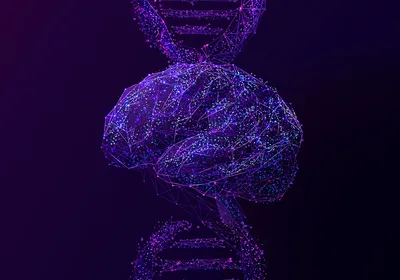 Purple 3D wireframe illustration of a brain in front of a vertical strand of DNA on a black background. Purple 3D wireframe illustration of a brain in front of a vertical strand of DNA on a black background.