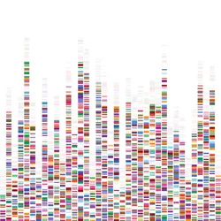 A sequence map, rendered as different colored bars arranged in vertical columns.