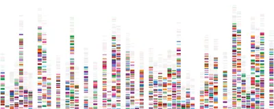 A sequence map, rendered as different colored bars arranged in vertical columns.