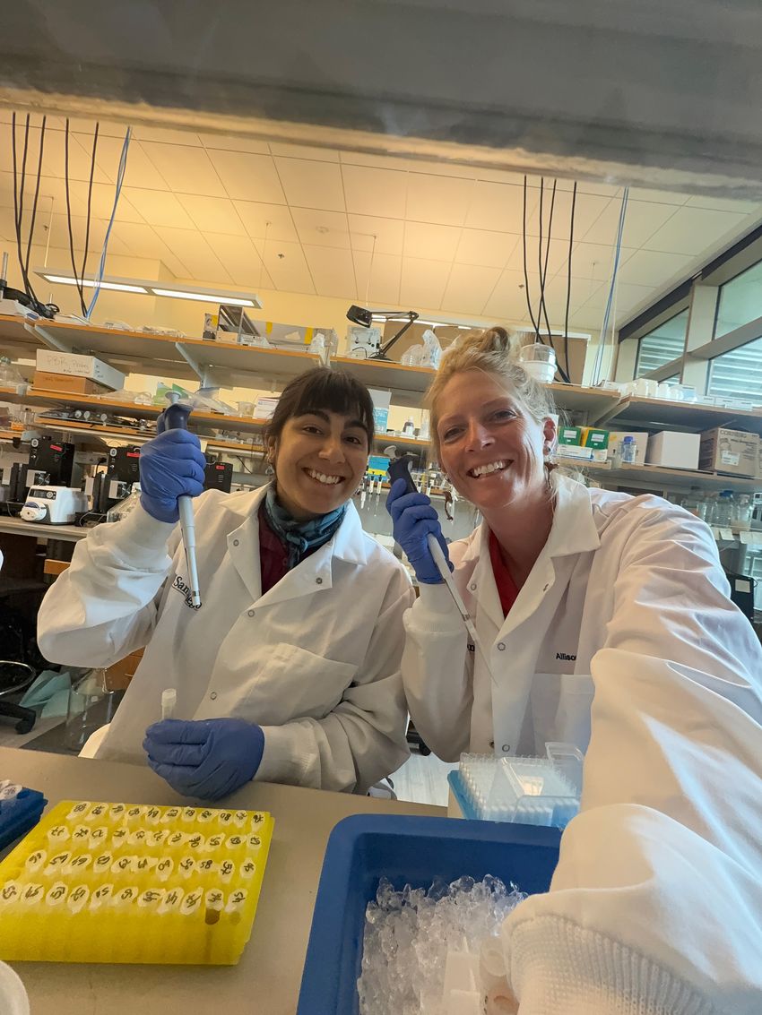 Photo of Martina Mascioni (left) and Allison Cusick (right) working in their graduate research lab at the University of California, San Diego. Both are wearing white lab coats and holding pipettes.