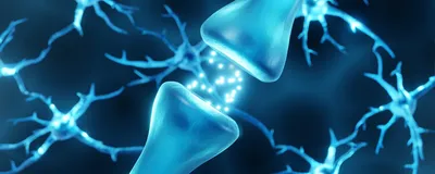 Image of a synaptic junction with blue neurons in the background. Image of a synaptic junction with blue neurons in the background.