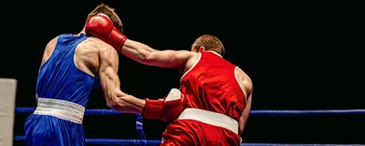 Image of two boxers fighting in a ring. The left fighter is clad in blue and lands a hit on the torso of his opponent, who is clad in red and lands a hit on the head. Image of two boxers fighting in a ring. The left fighter is clad in blue and lands a hit on the torso of his opponent, who is clad in red and lands a hit on the head.