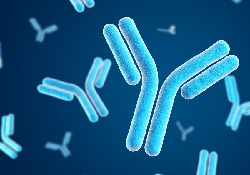 Blue 3D rendered antibodies